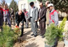 گزارش تصویری از آئیین درختکاری و تقدیر ازهمکاران فضای سبز دانشگاه